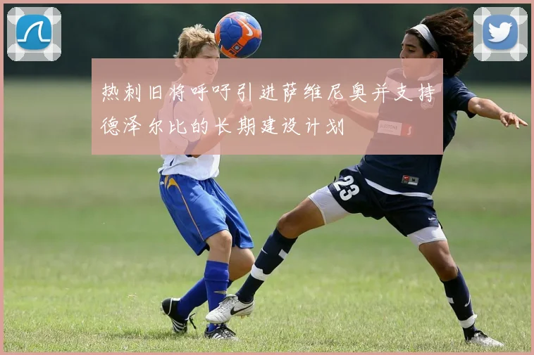 热刺旧将呼吁引进萨维尼奥并支持德泽尔比的长期建设计划