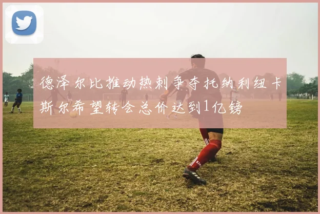 德泽尔比推动热刺争夺托纳利纽卡斯尔希望转会总价达到1亿镑