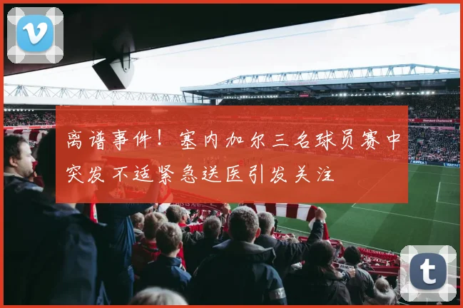 离谱事件！塞内加尔三名球员赛中突发不适紧急送医引发关注