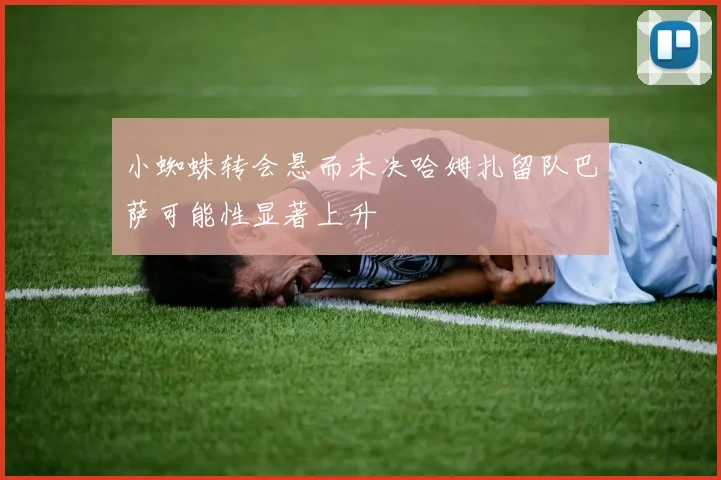 小蜘蛛转会悬而未决哈姆扎留队巴萨可能性显著上升